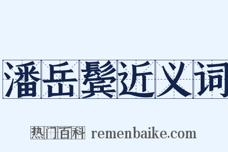 潘岳鬓近义词是什么意思的图片